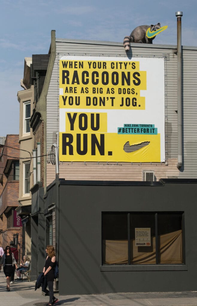Nike Raccoon