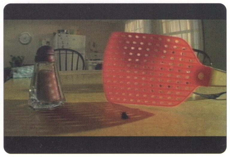 The Fly