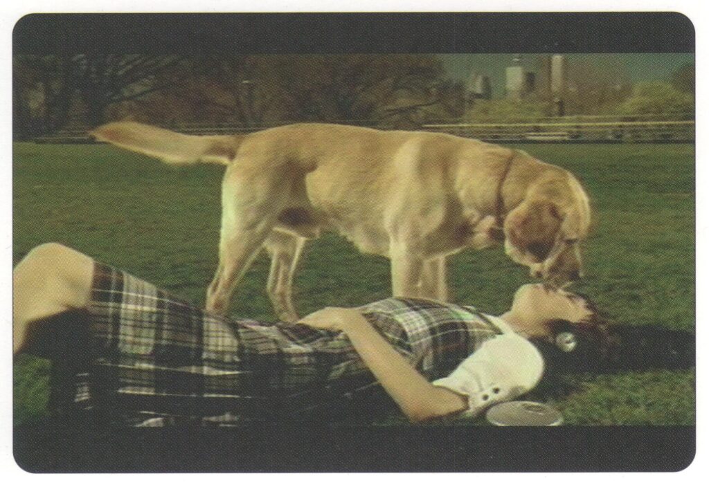 Dog