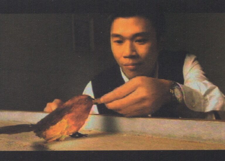 Tiny Sparrow of Love