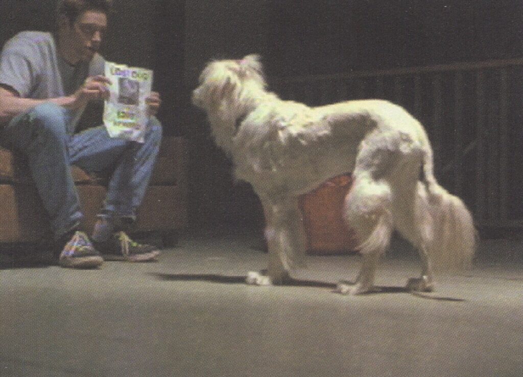 Dog Groomer, Workout Partner