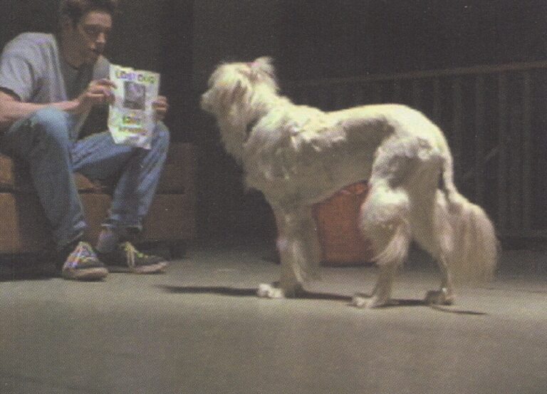 Dog Groomer, Workout Partner