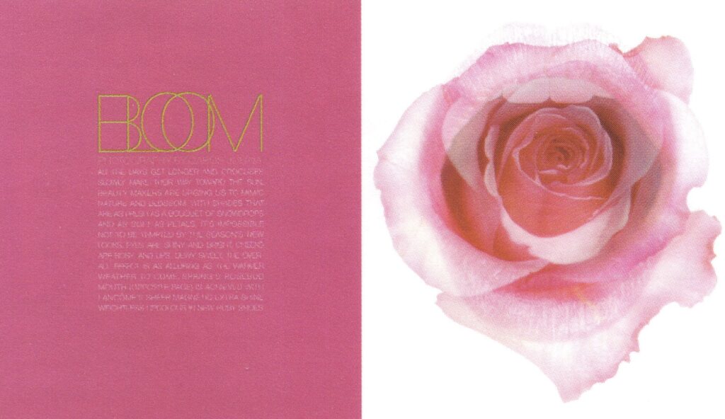 Bloom