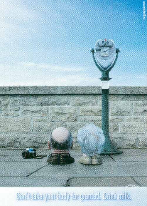 Urinal, Tourists, Cat