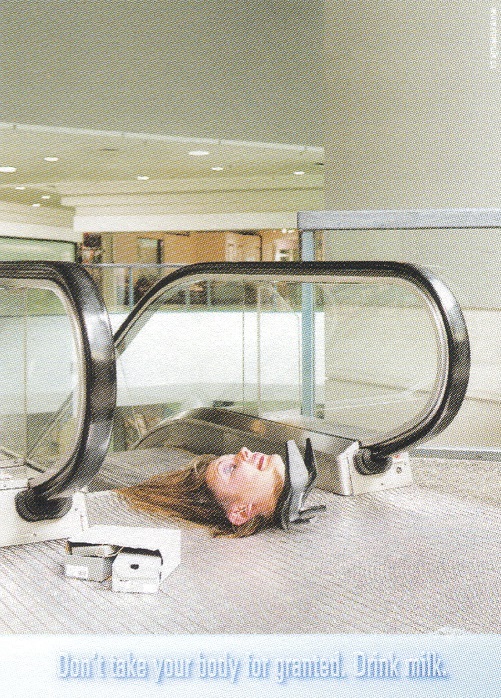 Urinal, Tourists, Cat