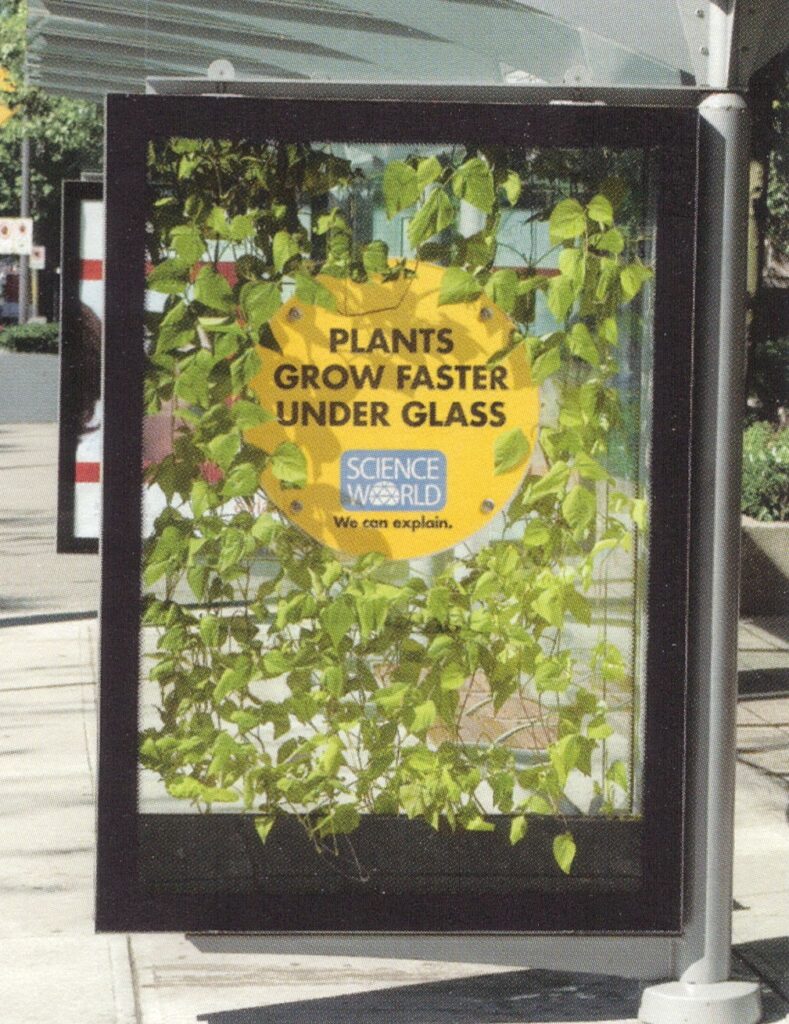 Transit-Gum,Plants,Cat Pee, TV-Boardroom, Print-Smokin' Granny, Radio-Questions