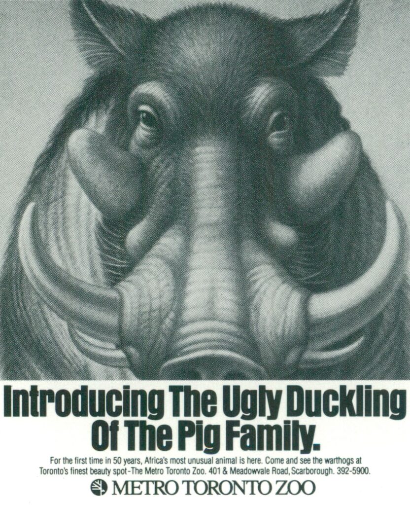 Introducing the Ugly Duckling