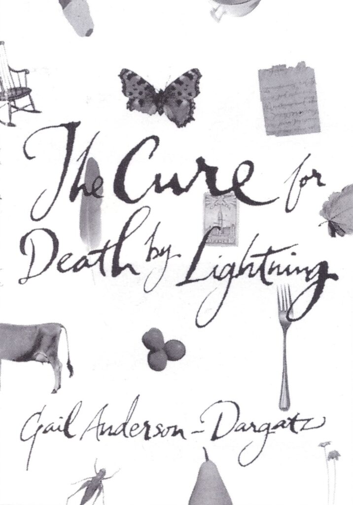 The Cure for Death by Lightning
