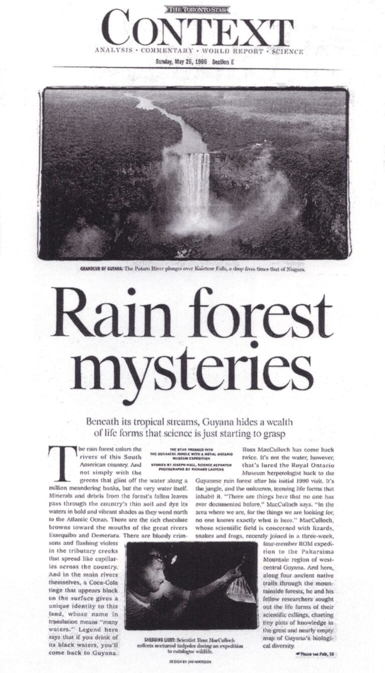 Rain Forest Mysteries