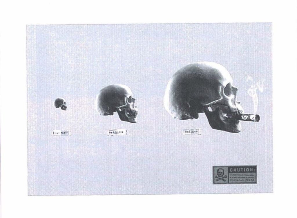 Skulls
