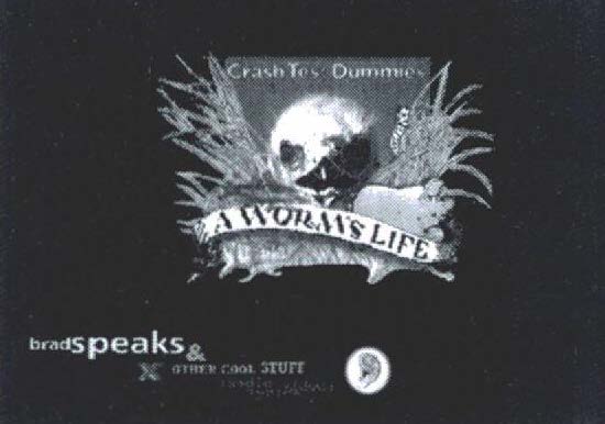 Crash Test Dummies Website