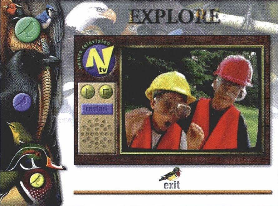 Junior Nature Guides/Birds