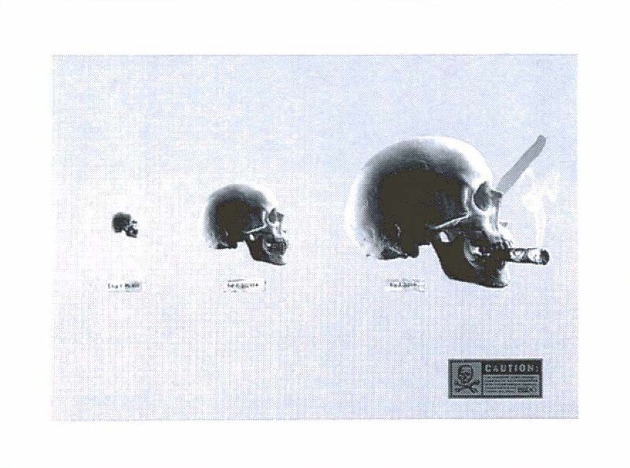 Skulls
