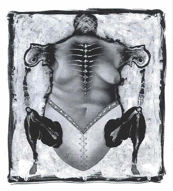Fly/Bone/Egg