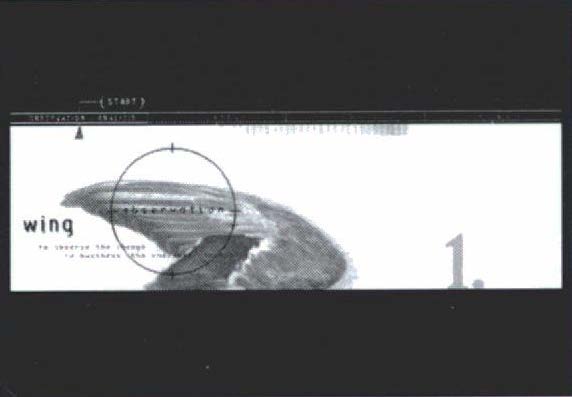 Wing Cd-Rom