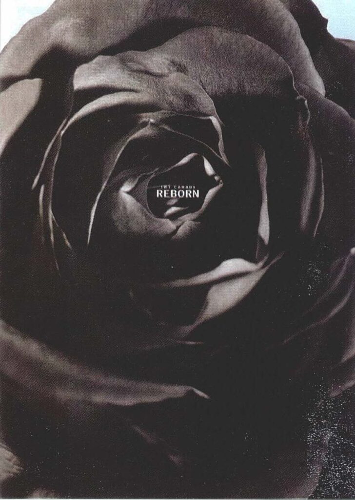 Jwt Reborn