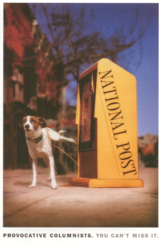Dog Pee