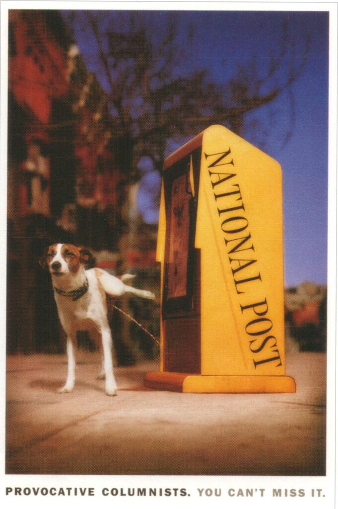 Dog Pee