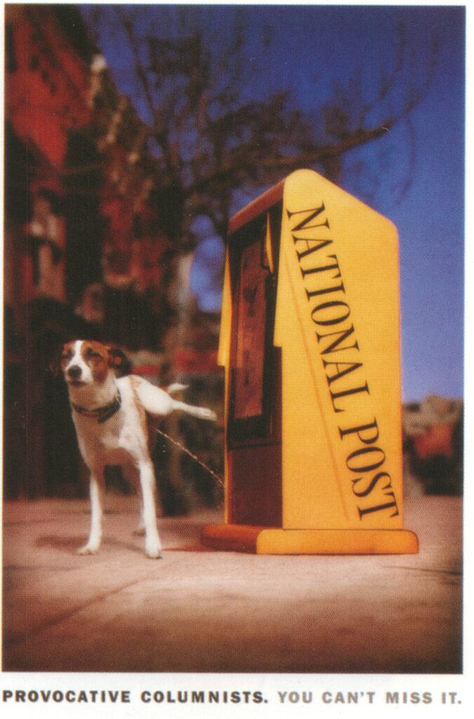 Dog Pee