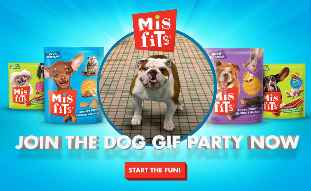 Dog GIF Party Maker