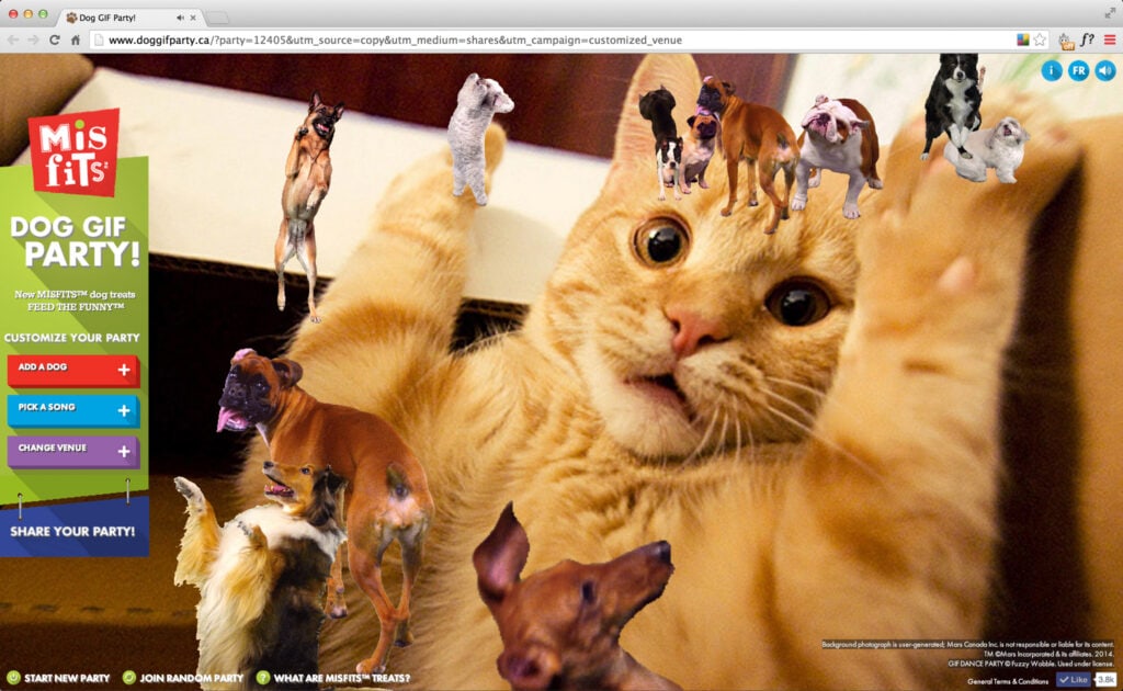 Dog GIF Party Maker