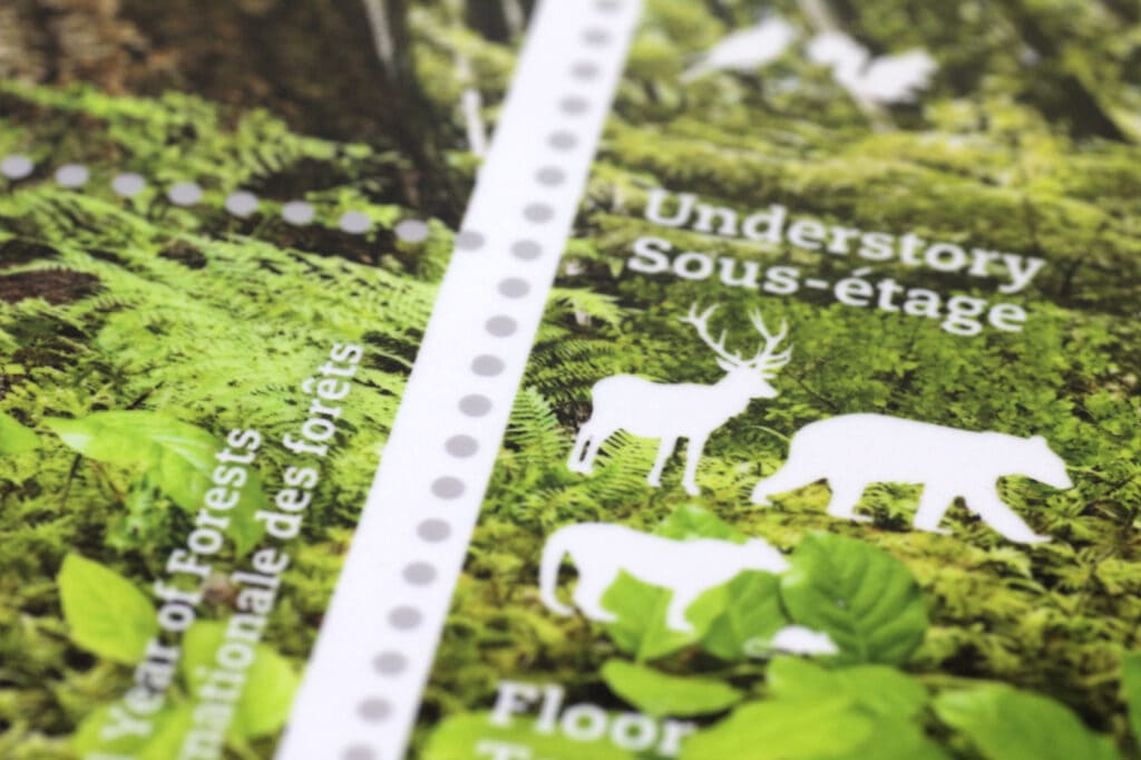 International Year of Forests 2011 Stamp