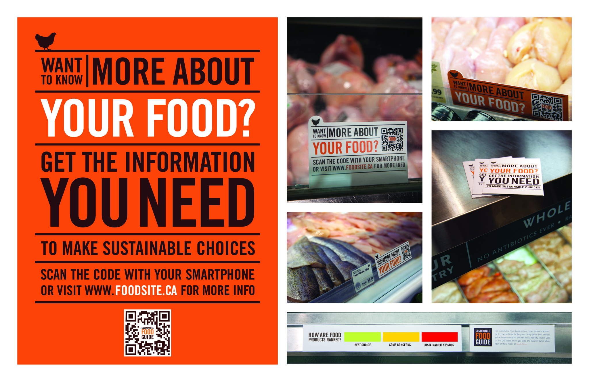 The Sustainable Food Guide | The ADCC