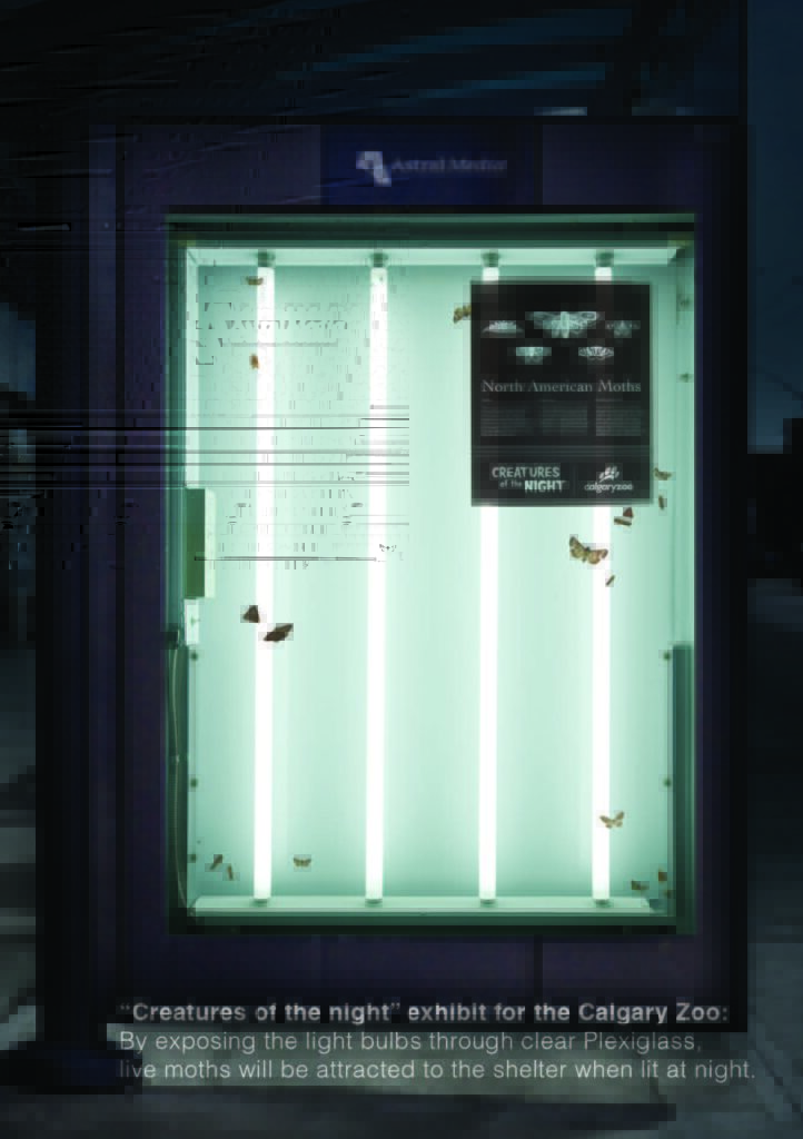 Creatures of the Night