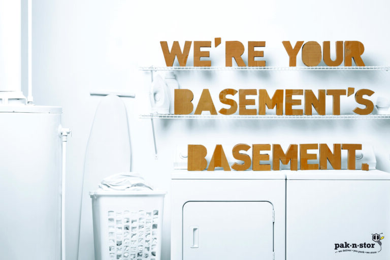 Basement / Bedroom / Garage