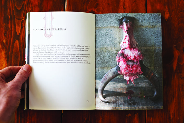 I travelled to India, got bitten by a dog, went back home and got a bunch of rabies shots then flew back to India and ate the country