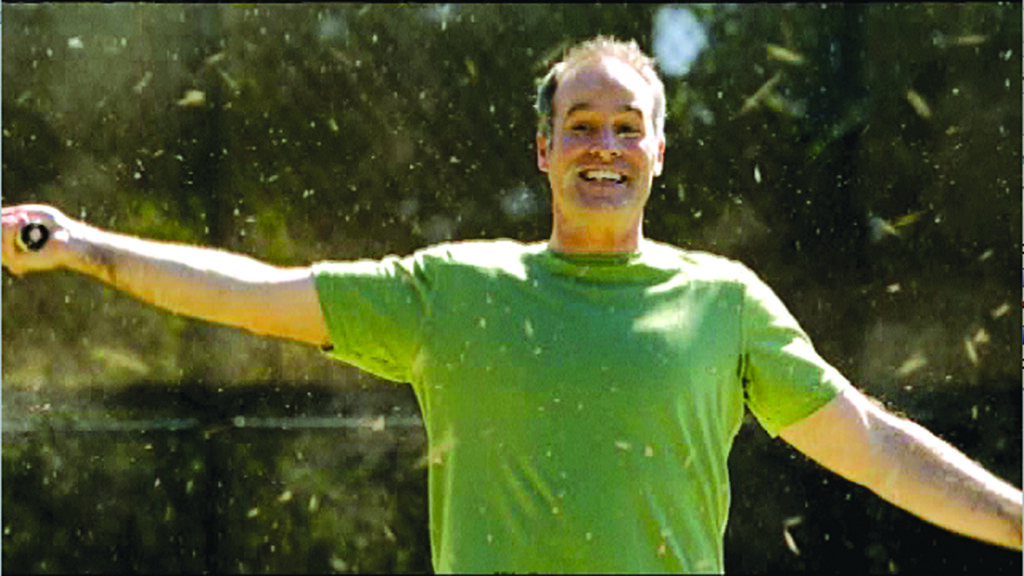 Storm Season / Bug Season