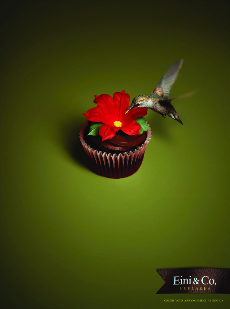 Hummingbird / Shears / Spade