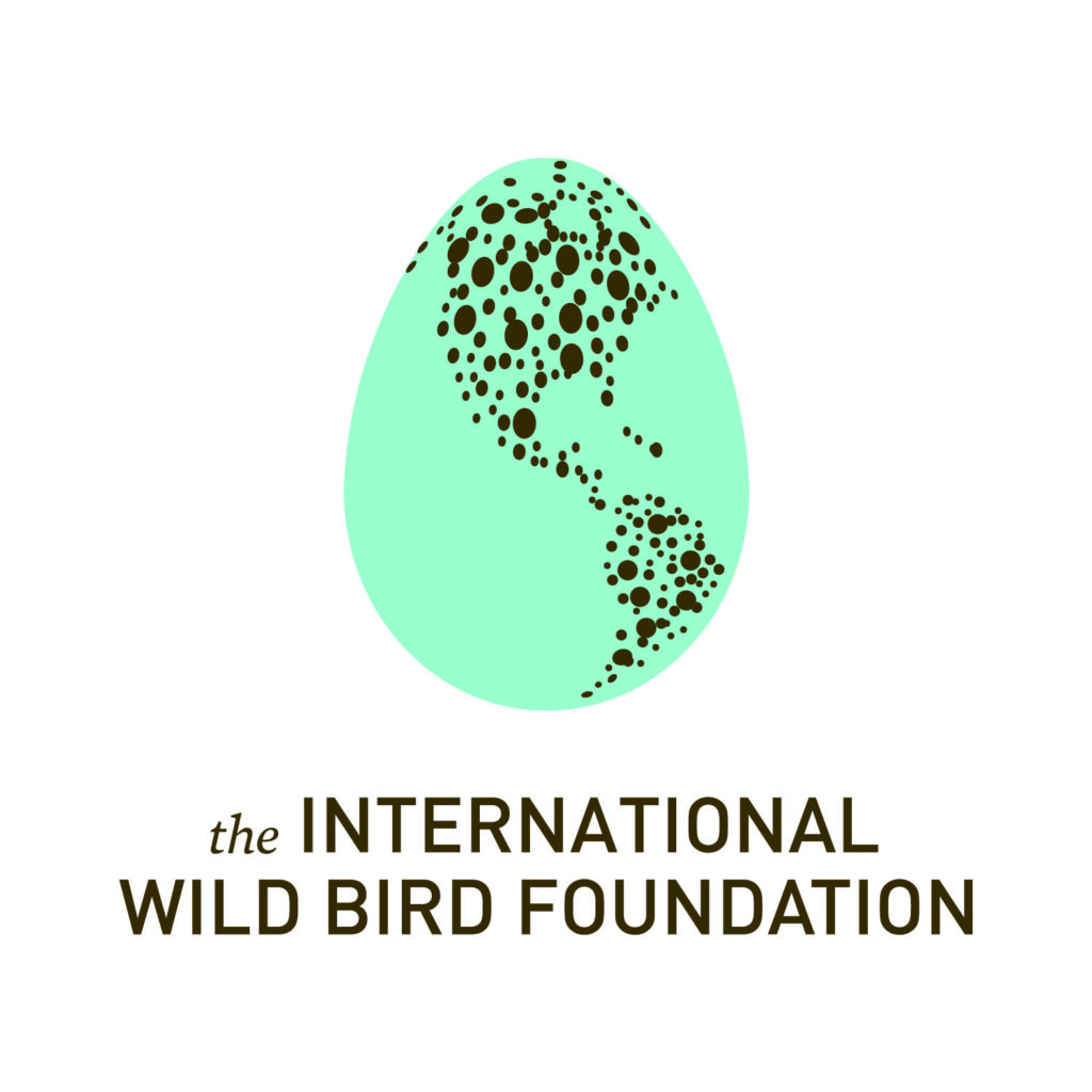 TIWBF logo