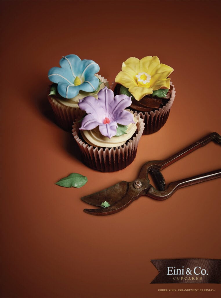 Hummingbird / Shears / Spade