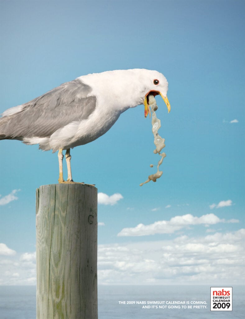 NABS Swimsuit Calendar - Seagull