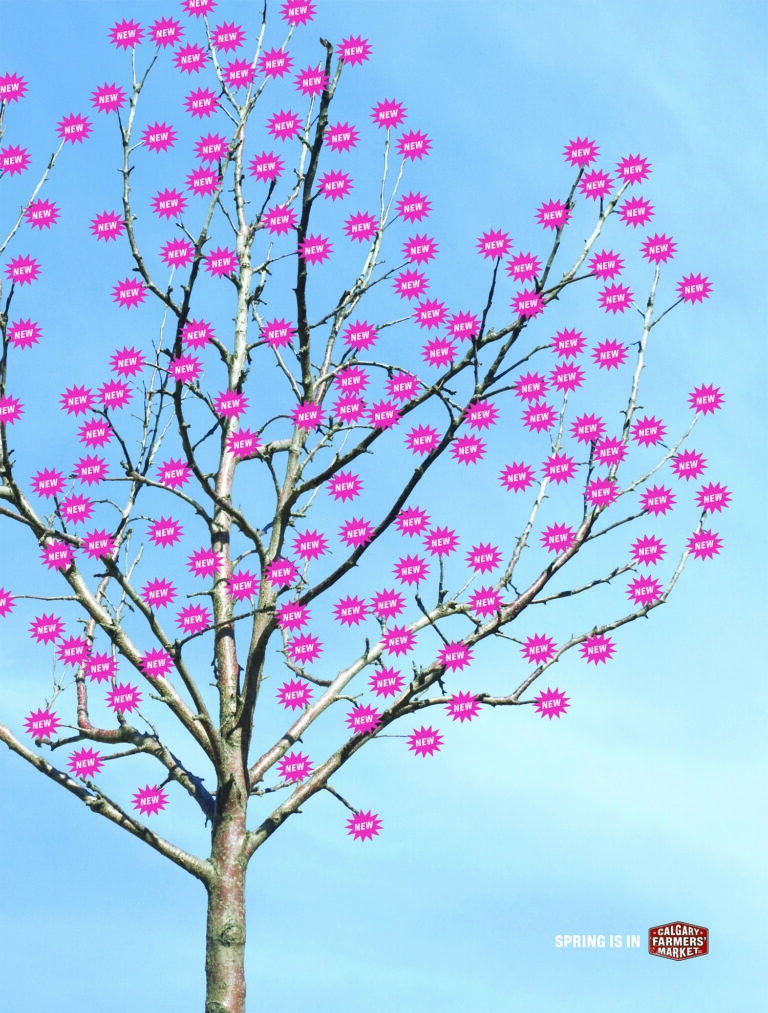 Spring Blossoms / Spring Furrows