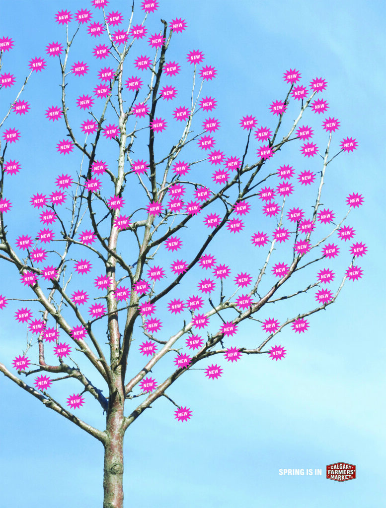 Spring Blossoms / Spring Furrows