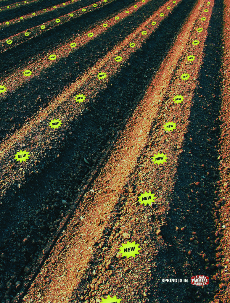 Spring Blossoms / Spring Furrows