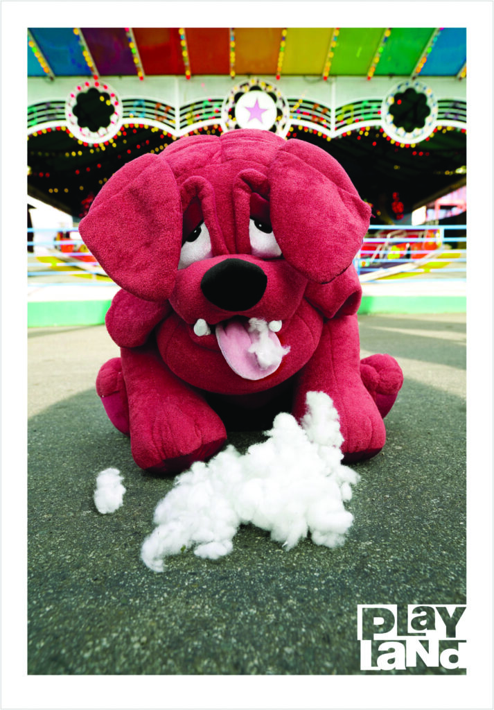 Frank / Monkey / Dog