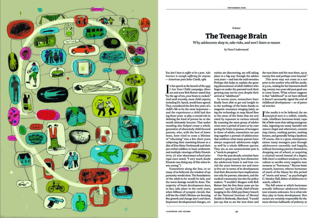 The Teenage Brain
