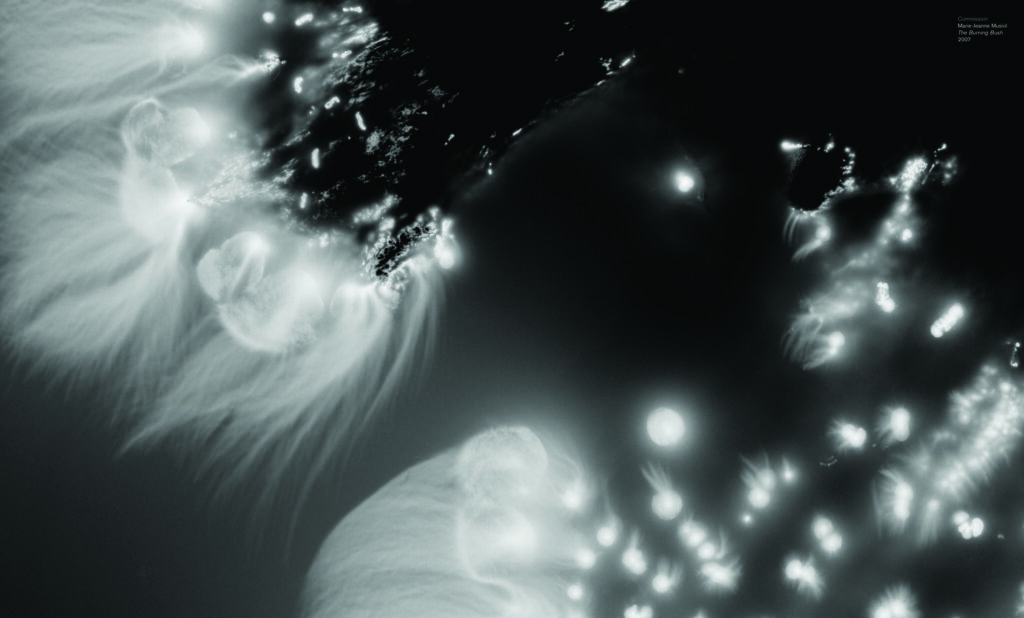 Prefix Photo 15: Spectral Light
