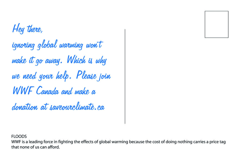 WWF Campaign