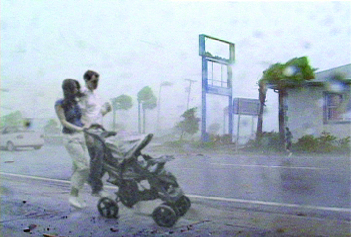 WWF Campaign