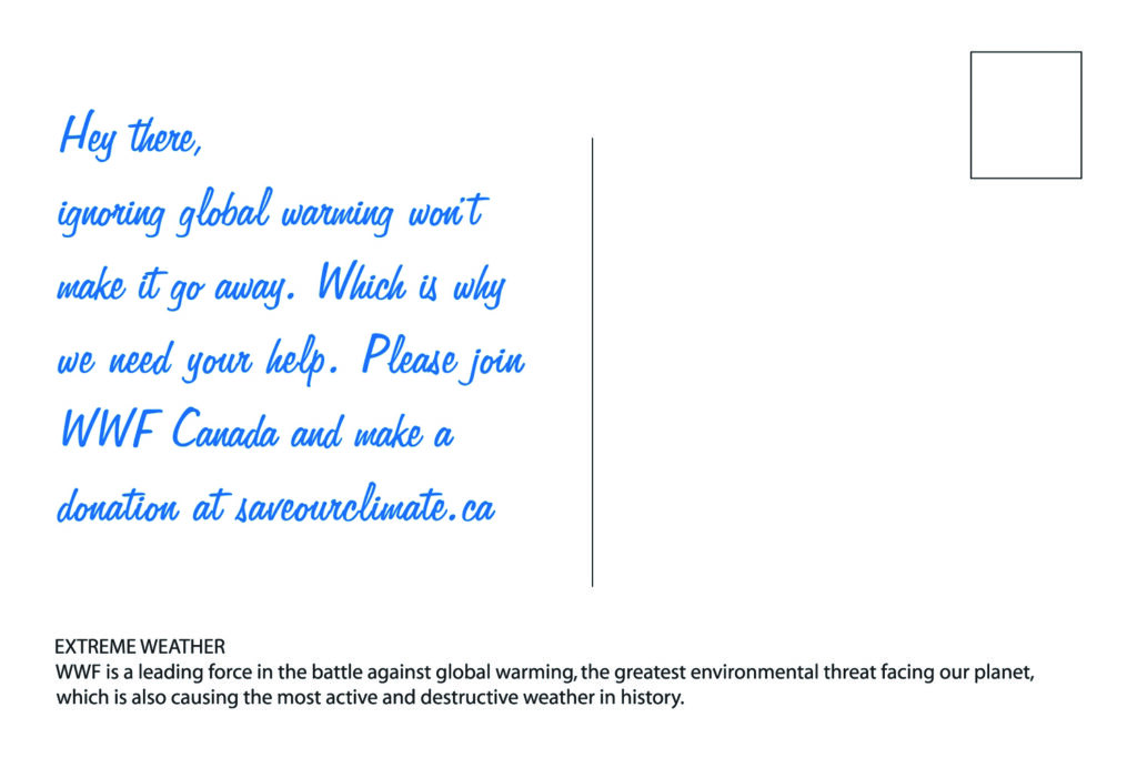 WWF Campaign