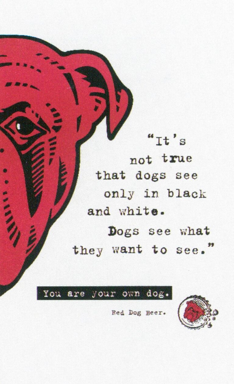 Lap Dog, Black & White, Spelled Backward