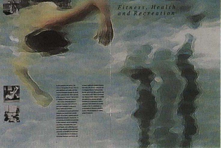 Ymca 86 / 87 Report