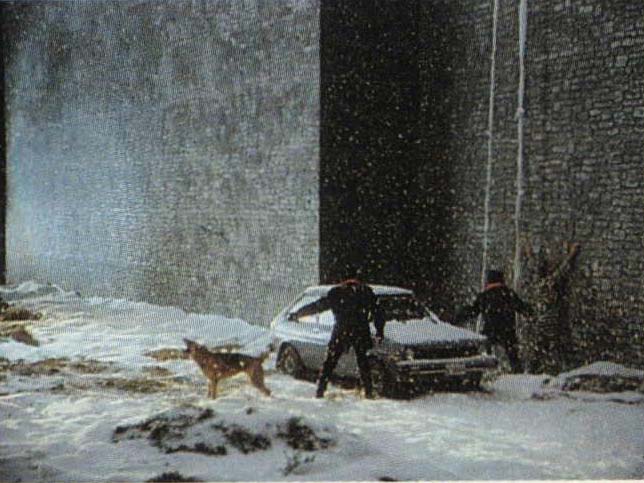 Winter Wall