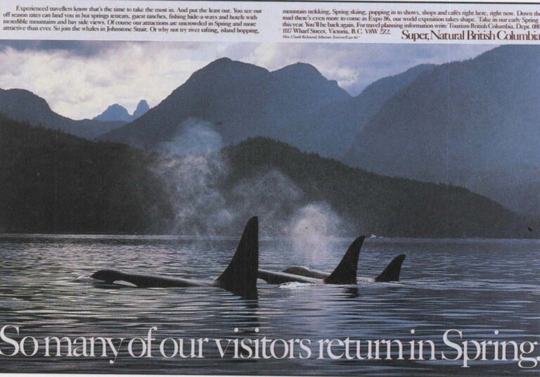 So Many Of Our Visitors