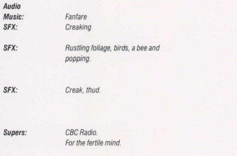 Driven Mind / Curious Mind / Fertile Mind