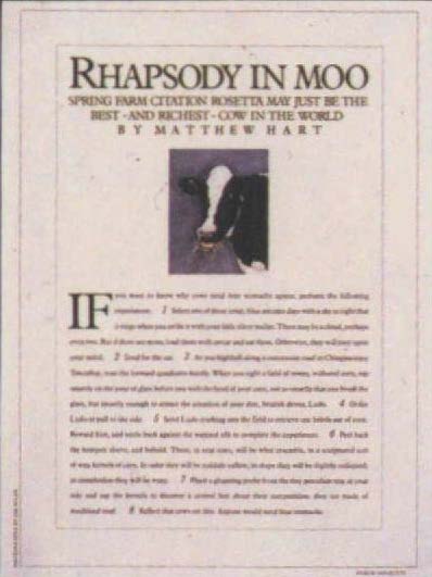 Rhapsody in Moo